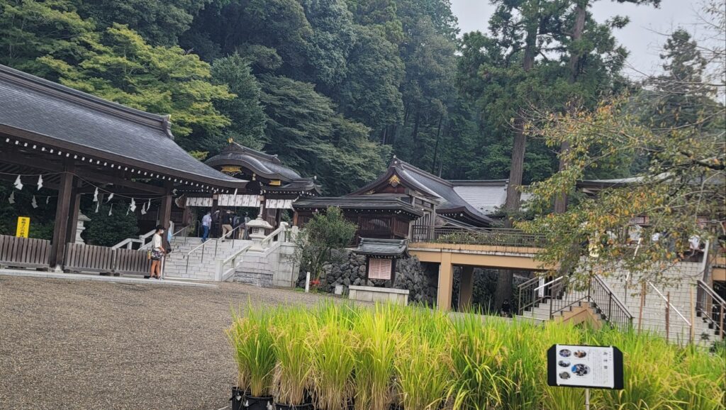 高麗神社の境内